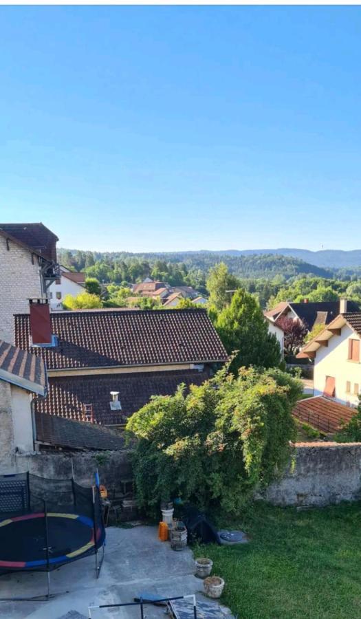 Le Nid Pres Du Lac Clairvaux-les-Lacs Dış mekan fotoğraf
